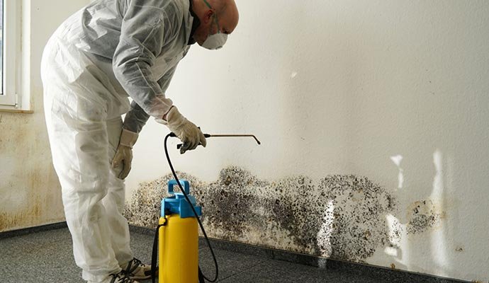 providing-mold-remediation-service